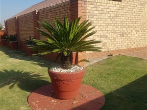 3 Bed House in Eldoraigne