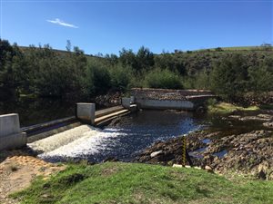 210 ha Farm in Albertinia