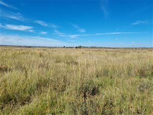 8.6 ha Farm in Evaton