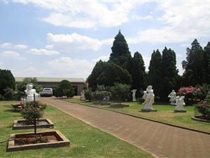 3 Bed House in Randpark Ridge