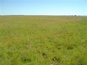 420 ha Farm in Brandfort