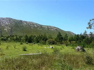 5.1 ha Farm in Seaview