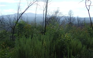 7.2 ha Land available in Blaricum Heights