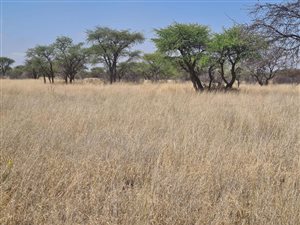1645 ha Farm in Kuruman
