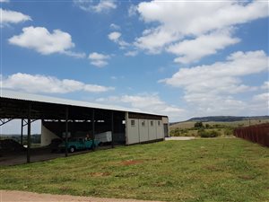 9.5 ha Farm in Krugersdorp Central