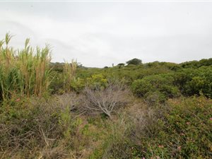 873 m² Land available in Port Alfred