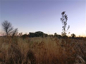 1613 m² Land available in Neserhof