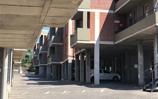 2 Bedroom Apartment in Buccleuch