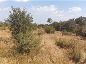 4000 m² Land available in Derdepoort