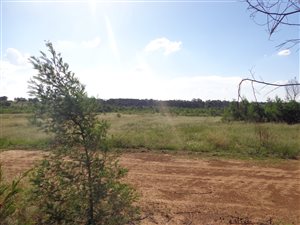 342 m² Land available in Mooikloof Country Residences