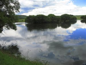 Game Farm in Brandfort
