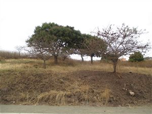 2165 m² Land available in Klaarwater