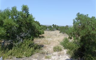 409 m² Land available in Shelley Point