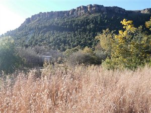1796 m² Land available in Lady Grey