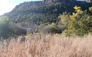 1796 m² Land available in Lady Grey