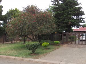 3 Bed House in Rembrandt Park