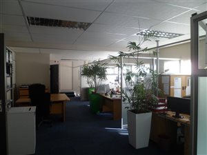 280 m² Office Space in Berea