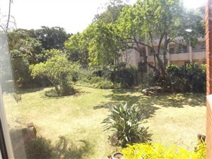 1 Bed Flat in Bulwer