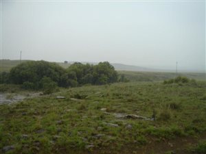 428 ha Farm in Dewetsdorp