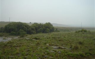 428 ha Farm in Dewetsdorp