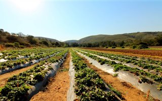 160.2 ha Farm in Mossel Bay Central