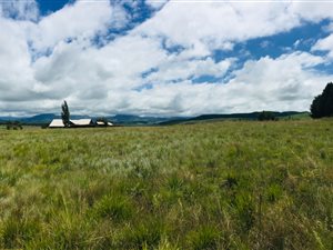 7957 m² Land available in Underberg