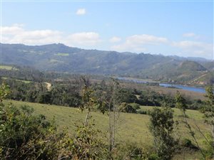1357 m² Land available in Westford Bridge