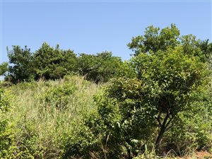 1225 m² Land available in Hawaan Forest Estate