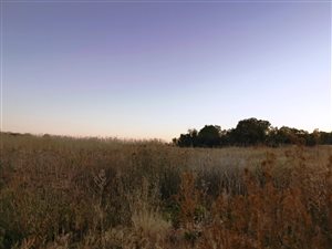 1935 m² Land available in Neserhof