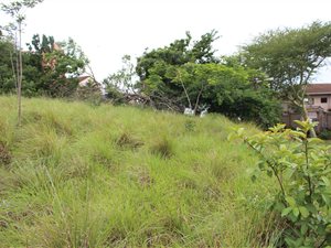 1100 m² Land available in Mtunzini