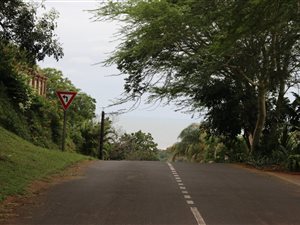 1100 m² Land available in Mtunzini
