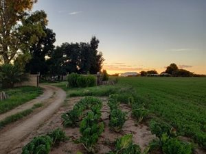 18.4 ha Smallholding in Kimberley