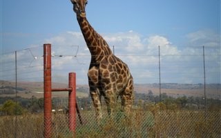 Commercial space in Sterkfontein and surrounds