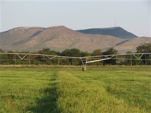 600 ha Farm in Pilanesberg