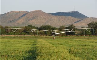 600 ha Farm in Pilanesberg