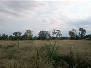1719 m² Land available in Neserhof