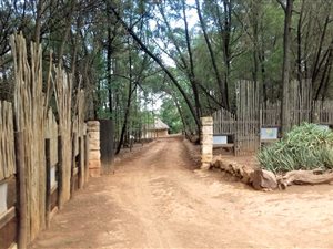 4 Bedroom House in Bapsfontein