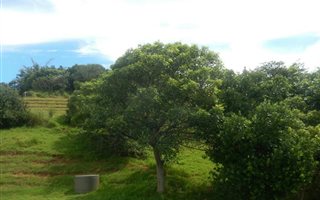 928 m² Land available in Sheffield Beach