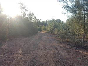 6 ha Land available in Nestpark AH