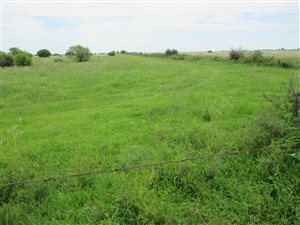 261 ha Farm in Schweizer Reyneke