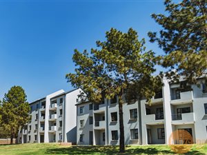 2 Bed Apartment in Glen Austin