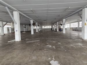 1200 m² Commercial space in Umbilo