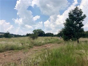 21.8 ha Land available in Eikenhof