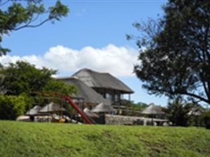 385 ha Farm in Greytown