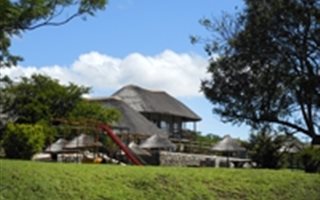 385 ha Farm in Greytown