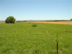 1450 ha Farm in Theunissen