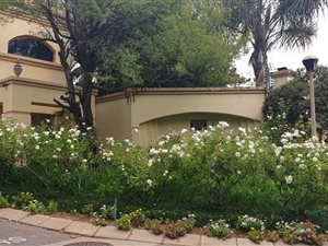 3 Bed Cluster in Sunninghill