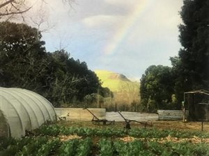 1.4 ha Farm in Claridge