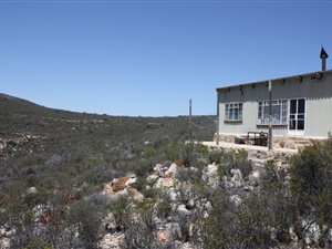 320 m² Farm in Ladismith
