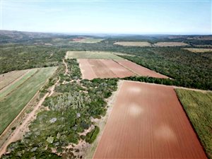 324 ha Farm in Bathurst and Surrounds
